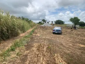 Own a Land