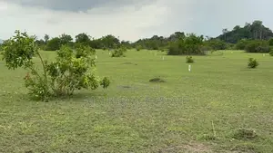 Own a Land