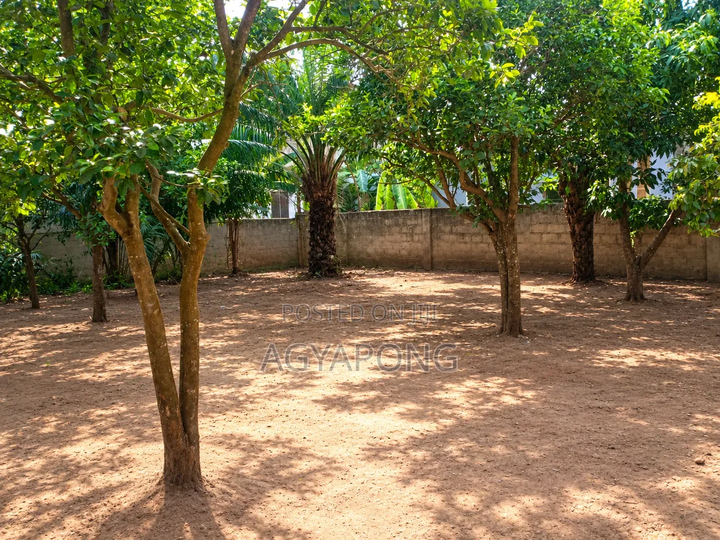 Quarter Plot of Land for Sale