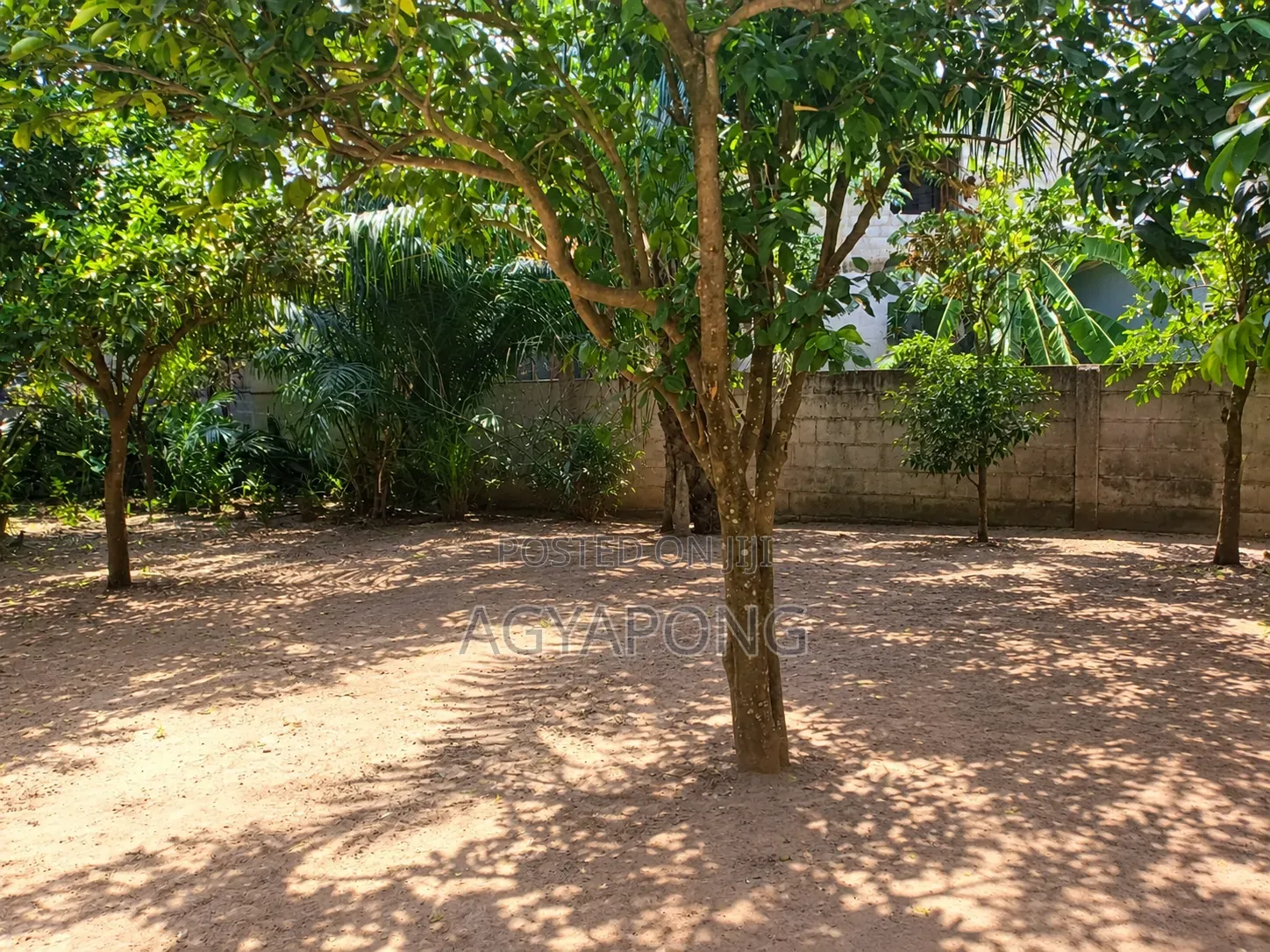 Quarter Plot of Land for Sale