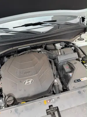 Hyundai Palisade 2021 White