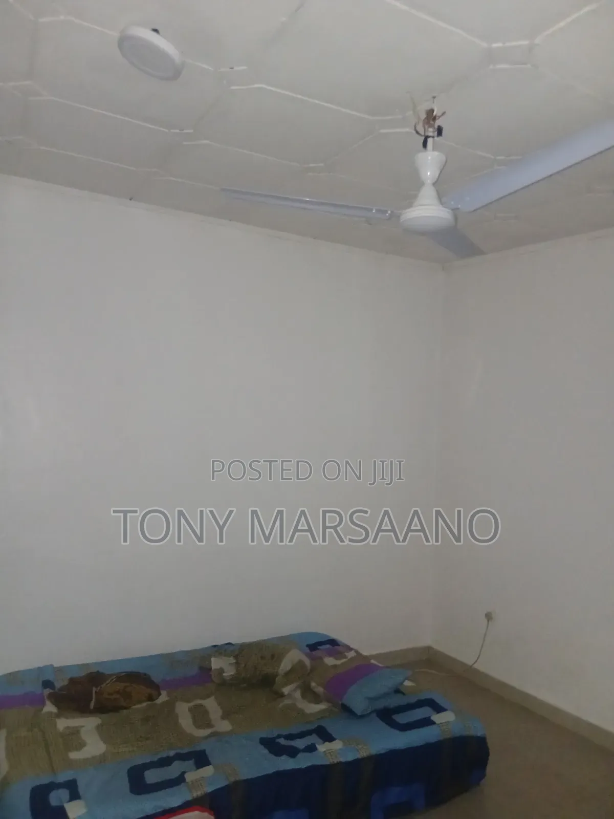 1bdrm Apartment in Haatso, Papao for rent
