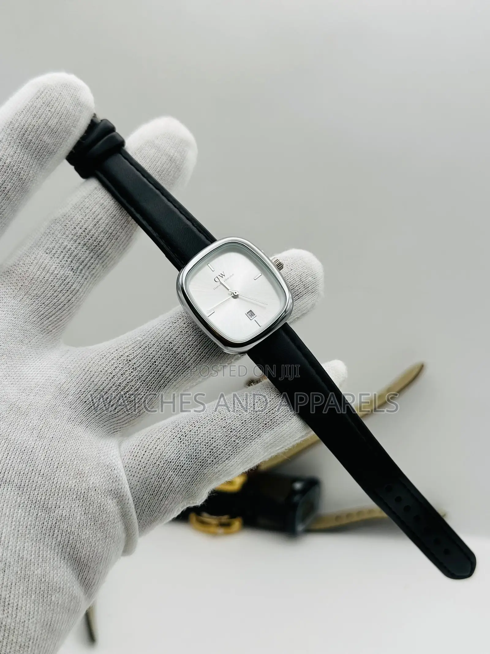 Daniel Wellington (DW) Ladies Watch