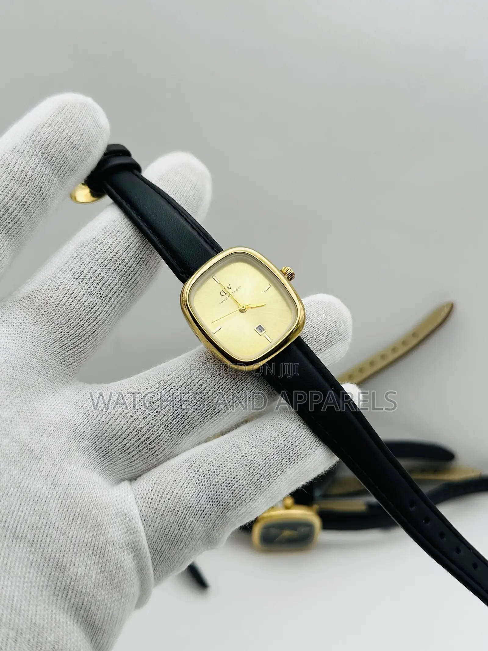 Daniel Wellington (DW) Ladies Watch