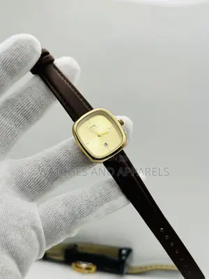 Daniel Wellington (DW) Ladies Watch