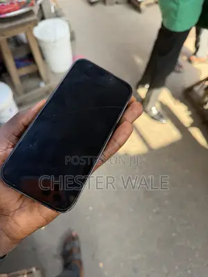 Apple iPhone 16 Pro 256 GB Black