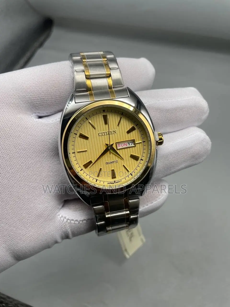 Citizen Leather Watch