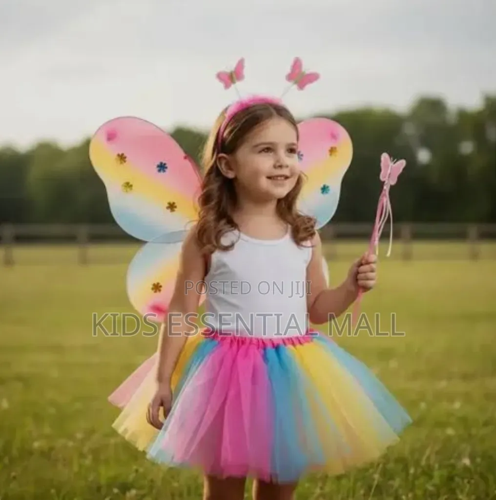 Fairy Princess Costume