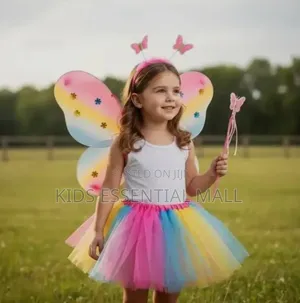 Fairy Princess Costume