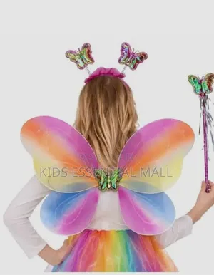 Fairy Princess Costume