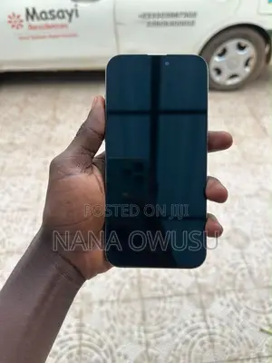 Apple iPhone 15 Pro Max 256 GB Gray