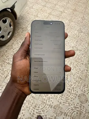 Apple iPhone 15 Pro Max 256 GB Gray