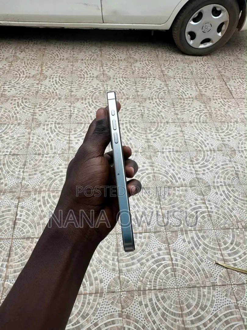 Apple iPhone 15 Pro Max 256 GB Gray