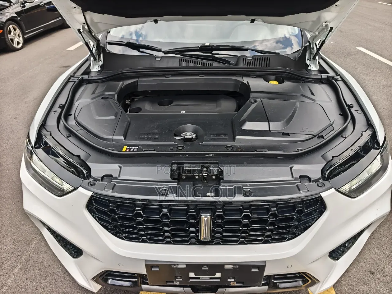 Wey VV5 S 2018 White