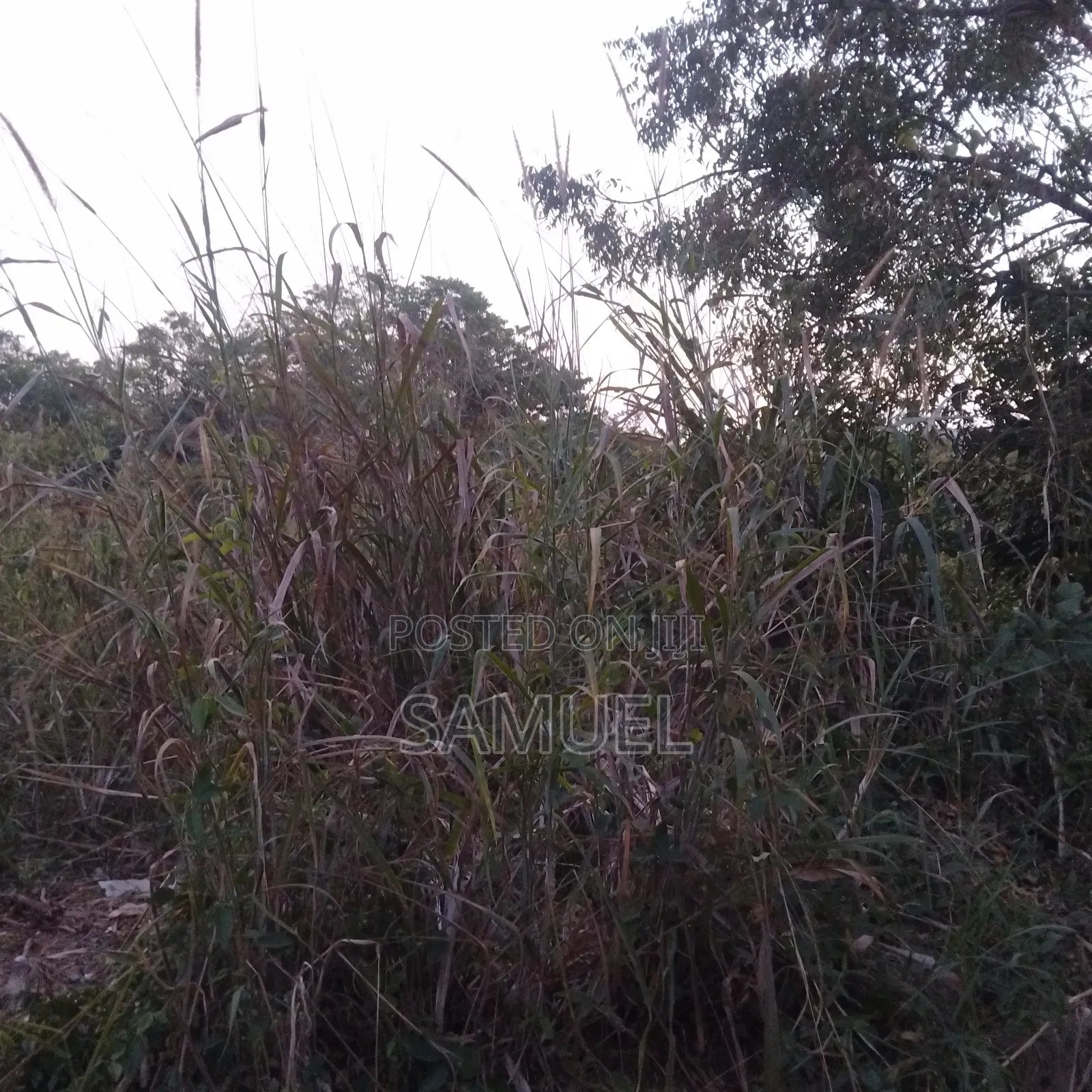 Plot of Land