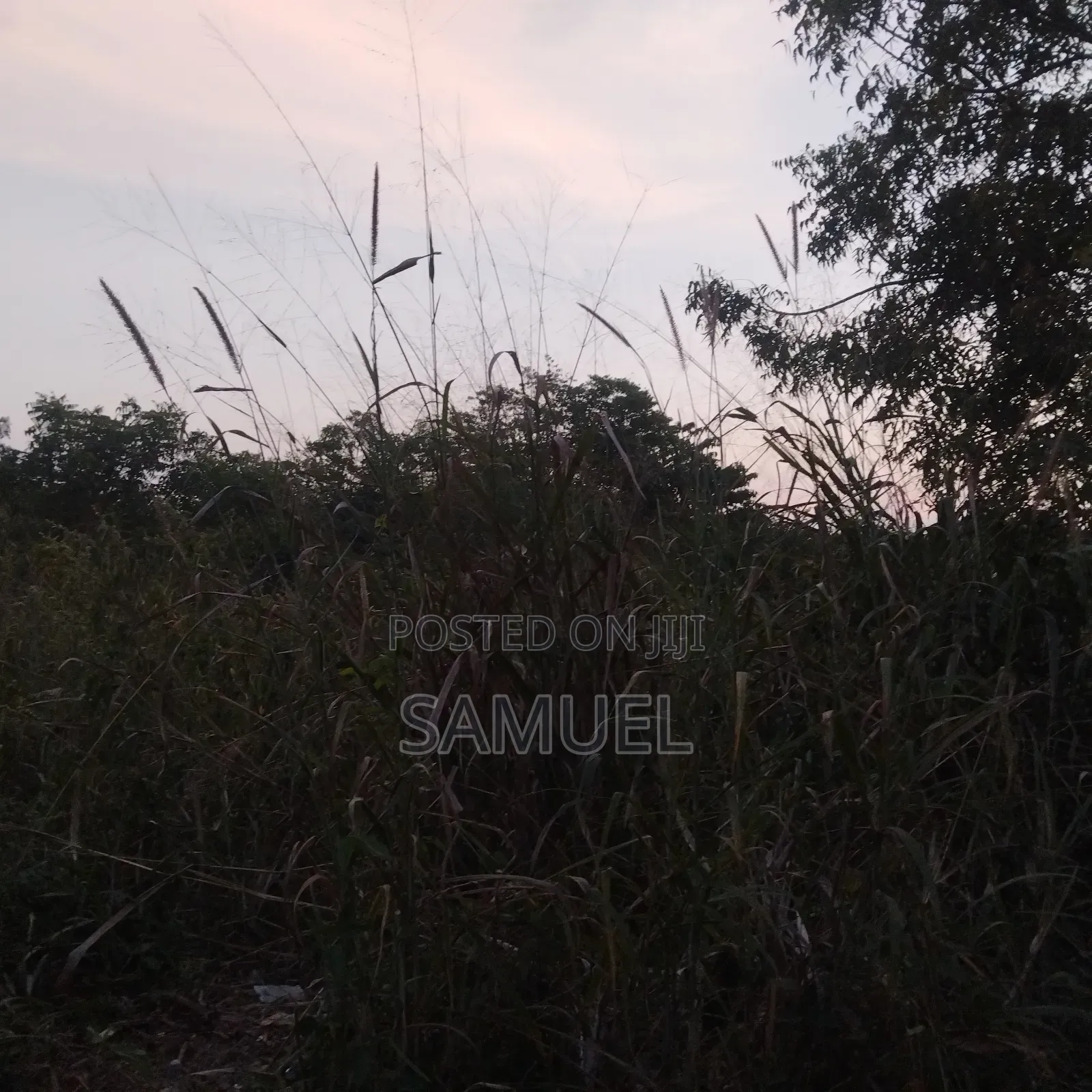 Plot of Land
