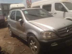 Mercedes-Benz M Class 2004 Silver