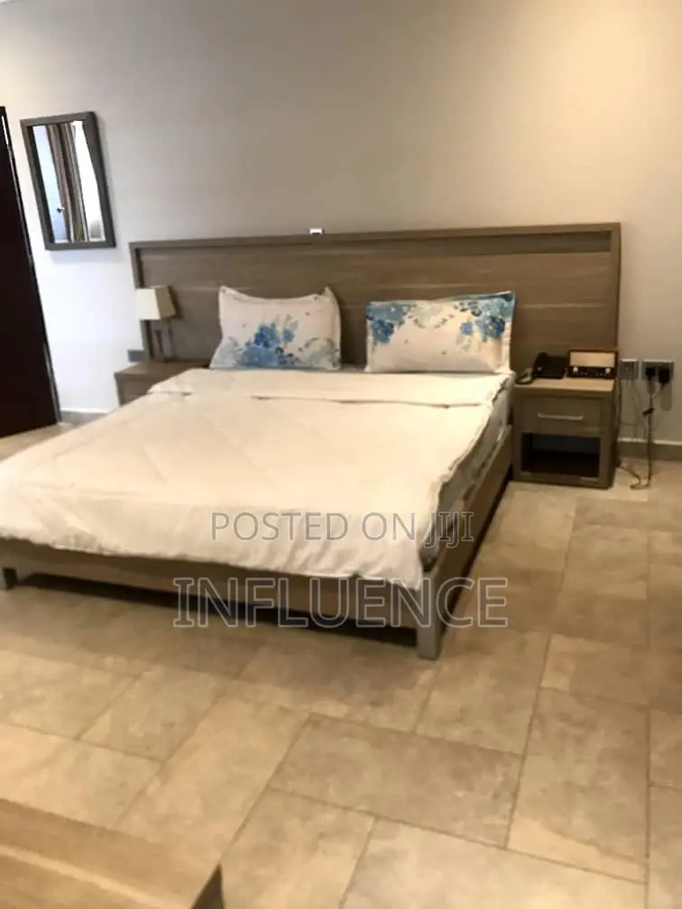 Furnished 1bdrm Apartment in Cantonmemts, Cantonments for rent