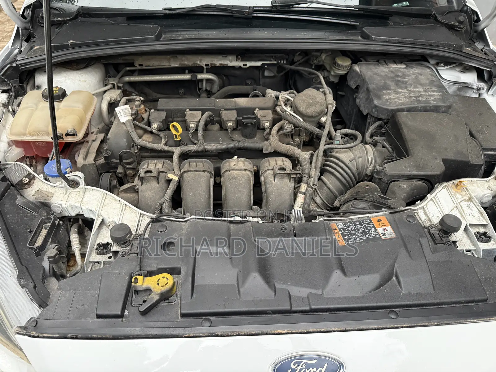 Ford Focus Titanium Hatchback FWD (2.0L 4cyl 6A) 2016 White