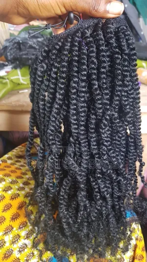 Braided Ponytail