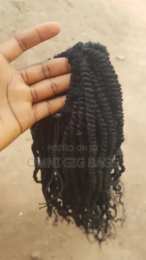 Braided Ponytail