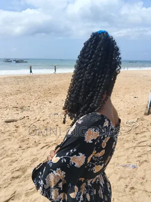 Braided Ponytail