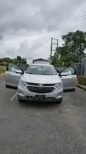 Chevrolet Equinox LT w/1LT AWD 2019 Silver