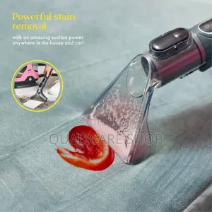Swan Spot Cleaner-Lynsey Queen Portable Carpet&Upholstery Washer