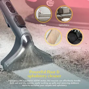 Swan Spot Cleaner-Lynsey Queen Portable Carpet&Upholstery Washer