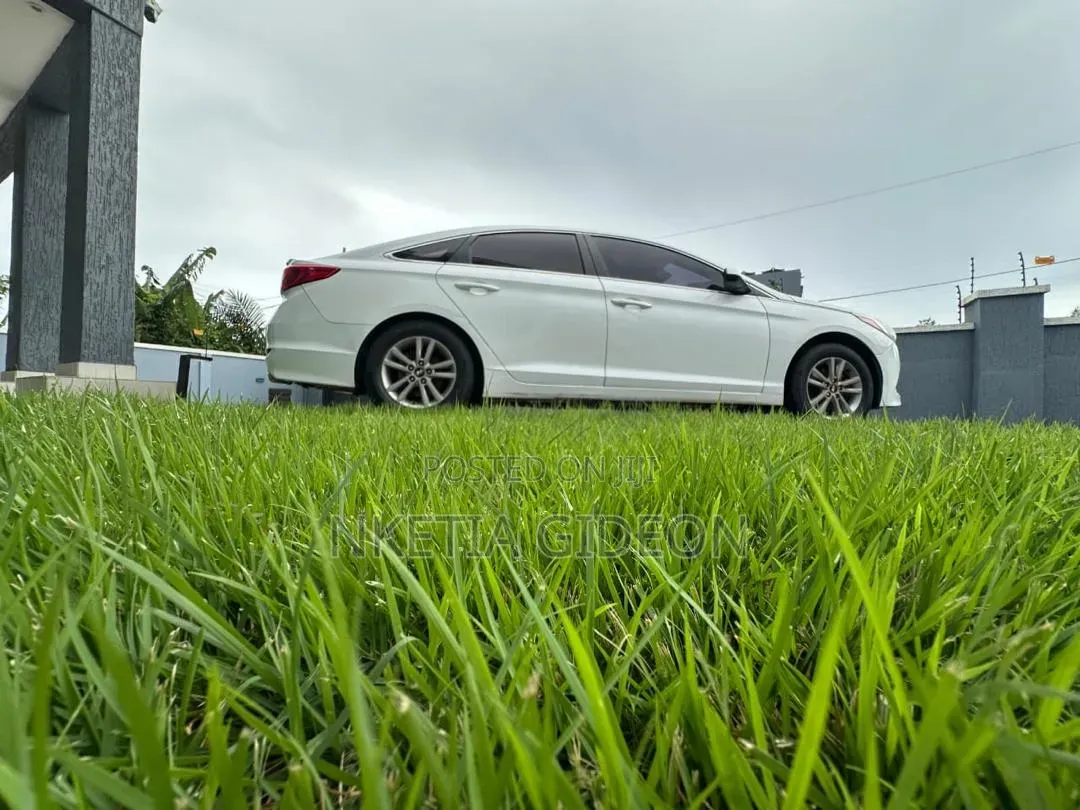 Hyundai Sonata 2015 White