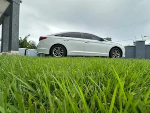 Hyundai Sonata 2015 White