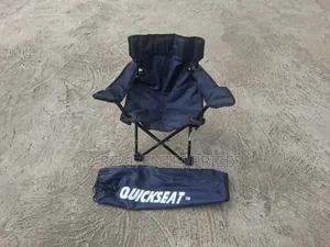 QuickSeat Portable Kids Folding Camping & Beach Chair W Carry Bag