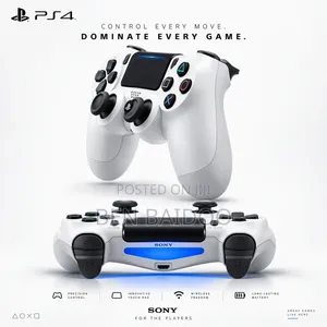 PlayStation 4 Game Pad (Authentic)