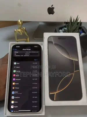 Apple iPhone 16 Pro Max 256 GB Silver