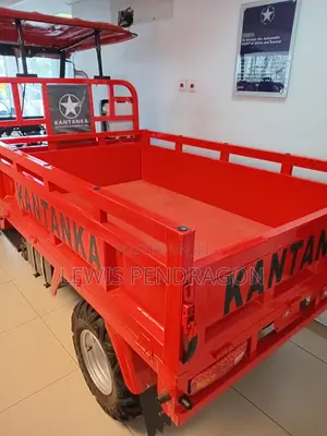 Driver at Danfa