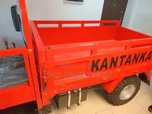 Driver at Danfa