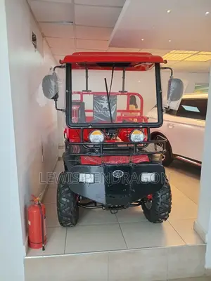 Driver at Danfa