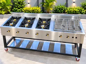 Stainless 6 in 1 Burner With Deep Fryer
