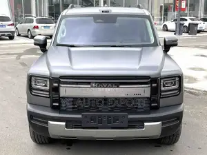 Haval Menglong 2025 Gray
