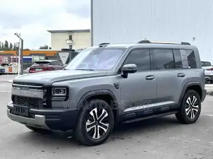 Haval Menglong 2025 Gray