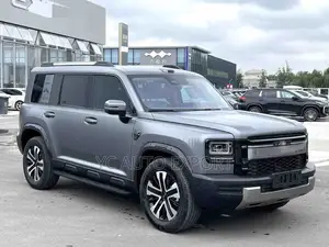 Haval Menglong 2025 Gray