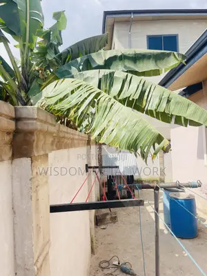 Foldable Dry Line
