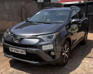 Toyota RAV4 XLE 4dr SUV AWD (2.5L 4cyl 6A) 2018 Gray
