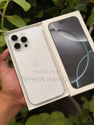 Apple iPhone 16 Pro Max 256 GB Silver