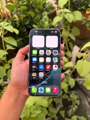 Apple iPhone 16 Pro Max 256 GB Silver