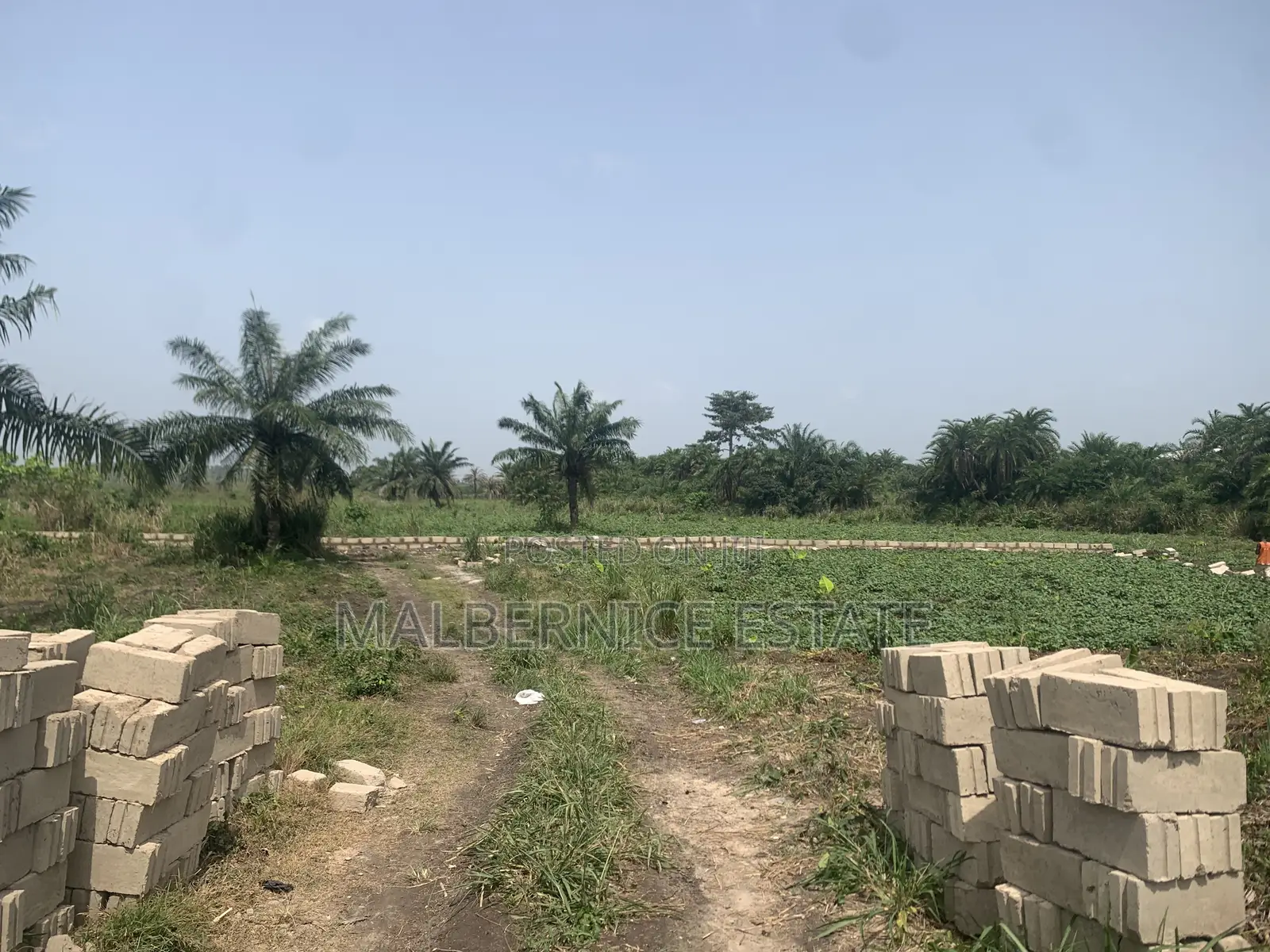 Own a Land