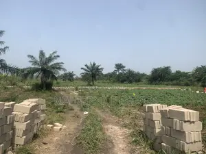 Own a Land