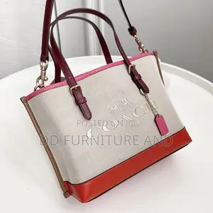 Coach Molie Handbag