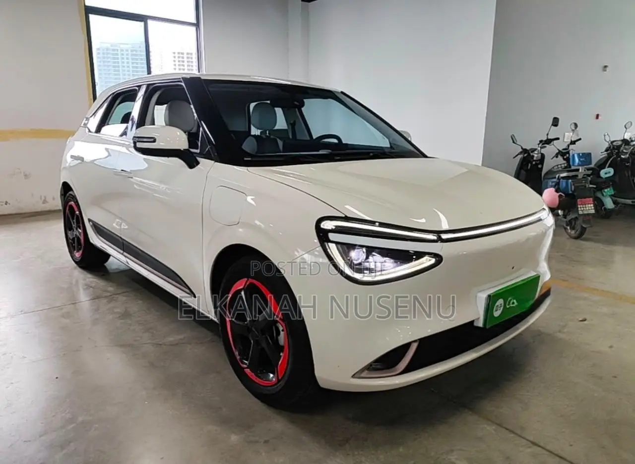 New BYD Seagull 2025 White