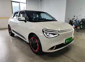 New BYD Seagull 2025 White